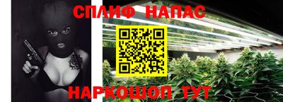 СК Рыбинск