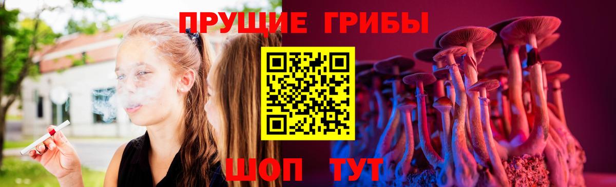 магазин    Псилоцибиновые грибы Cubensis  Вход с VPN  Ростов Великий 